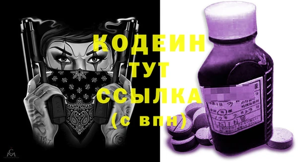 дживик Абаза