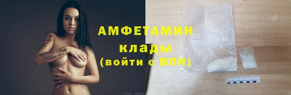 дживик Абаза