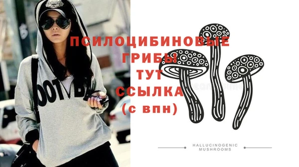 ПСИЛОЦИБИНОВЫЕ ГРИБЫ Абинск