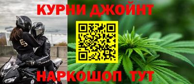 сатива Шебекино