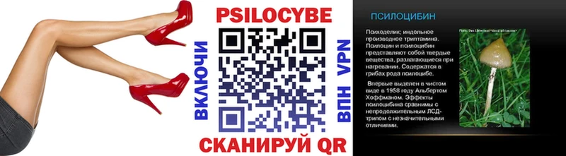 Галлюциногенные грибы Cubensis  блэк спрут ссылки  даркнет как зайти  Благодарный 